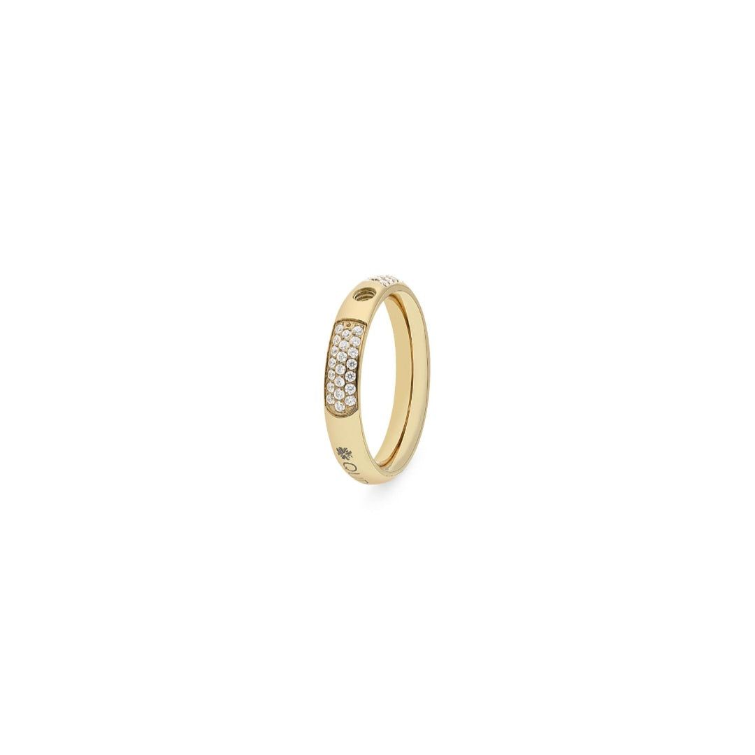 Ring BASIC Small Delux