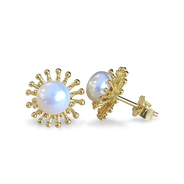 Ohrstecker Perle weiss / Gold