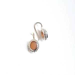 Earrings (14 colors)